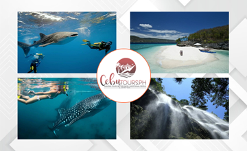 Whale Shark and Sumilon Sandbar