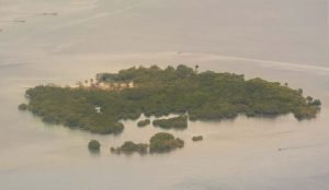 View from the top during aerial tour