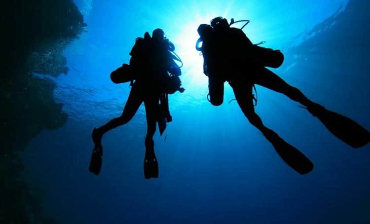 Oslob Whale Shark scuba diving