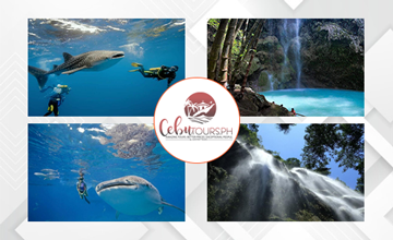 whale-shark-and-tumalog-falls